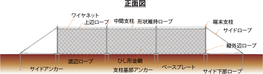 正面図