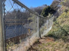 崩壊土砂防護柵設置工事上神井2号その1(補助砂防)