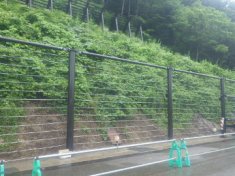 道路橋りょう整備(交付)工事(雪崩対策)