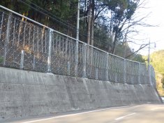 補助公共社会資本総合整備(防災・安全)(地方道防災)落石防護対策工事(分割2号)