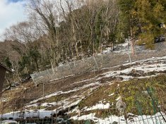 円山川流域予防治山事業(3Y第7号)