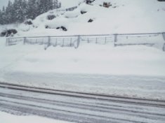 (主)十日町塩沢線防災安全(雪寒・補正)雪崩対策