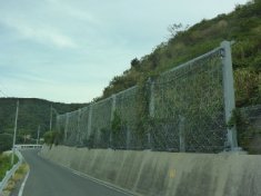 (一)小伊津港線小伊津工区防災安全交付金(災害防除)工事(経済対策)