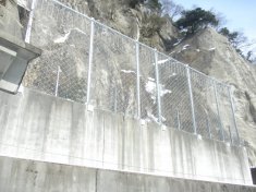 平成23年度一般国道156号県単独災害防除落石防護柵工工事