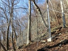 目黒地区復旧治山工事