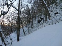 目黒地区復旧治山工事