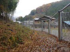 崩壊土砂防護柵工事湯ノ沢Cその1(緊減災砂)