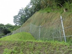 平成27年度内山水源林保全工事