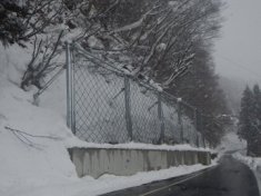 平成24年度予防治山工事